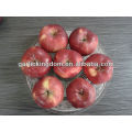 Fresh Huaniu Apple 100-125 18kg